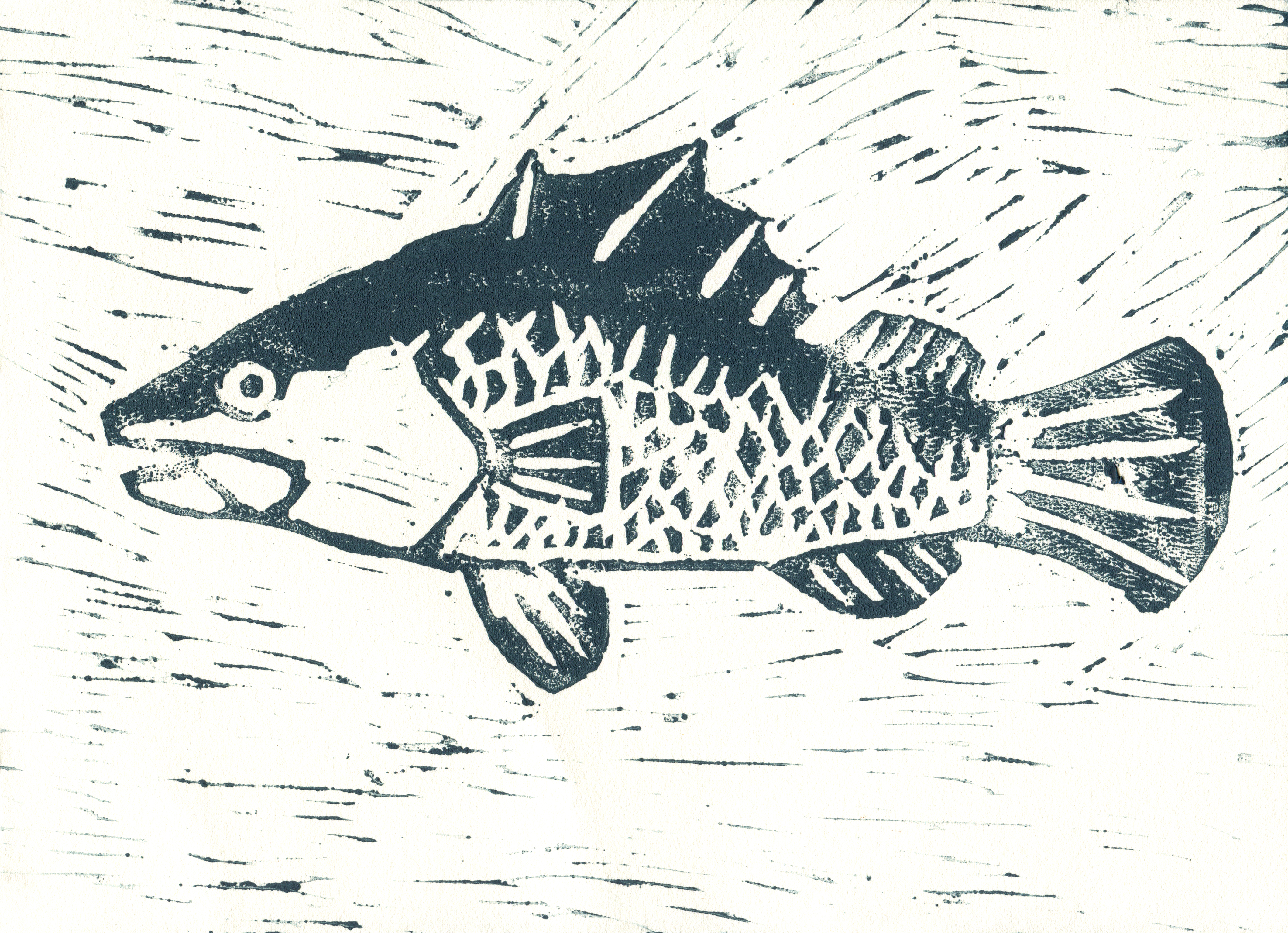 Barramundi linocut