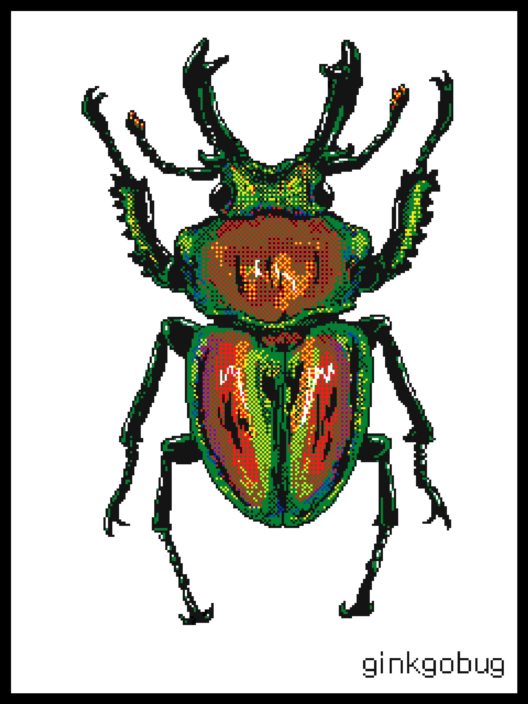 Rainbow stag beetle