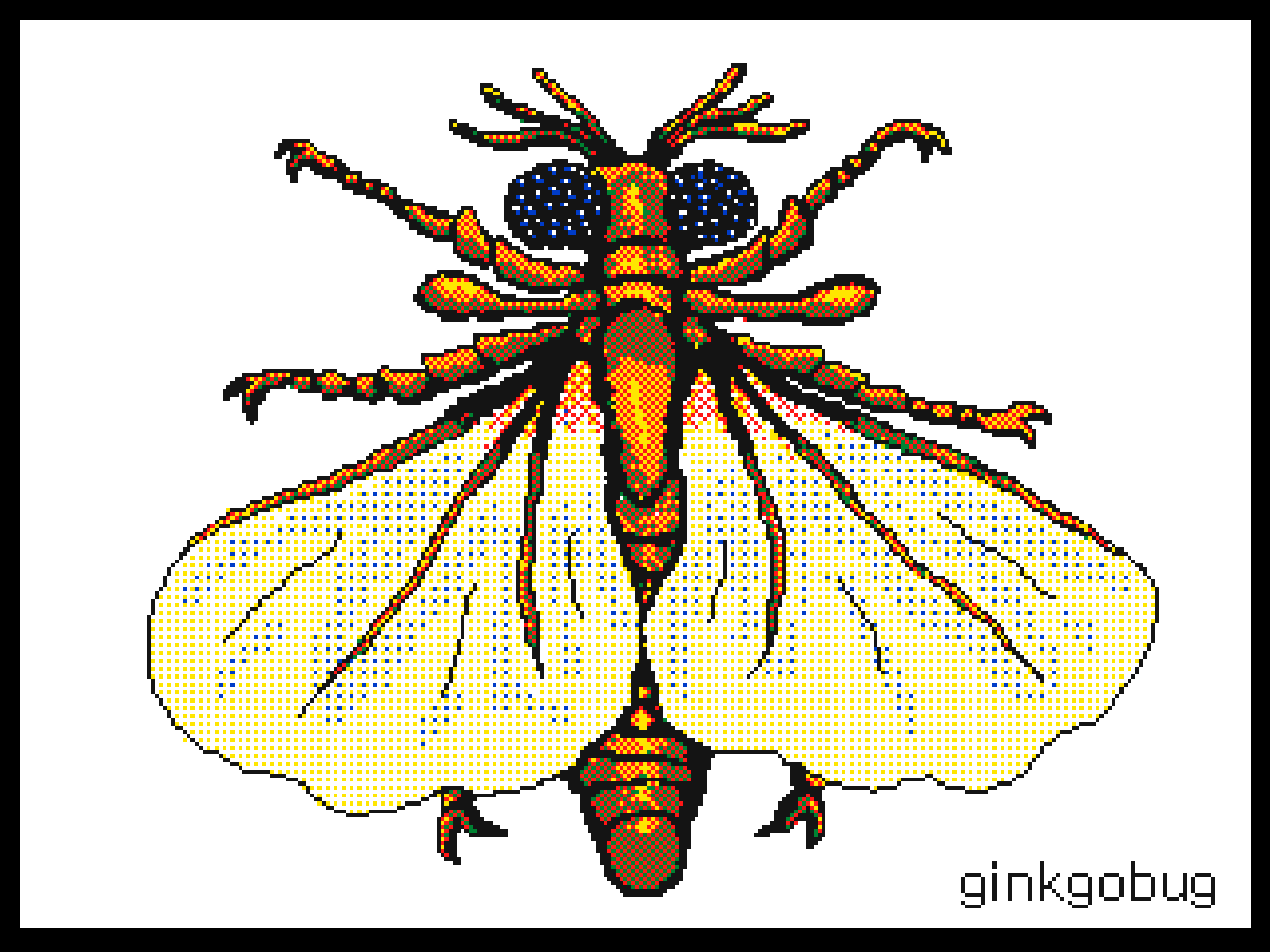 Stylops (Strepsiptera)