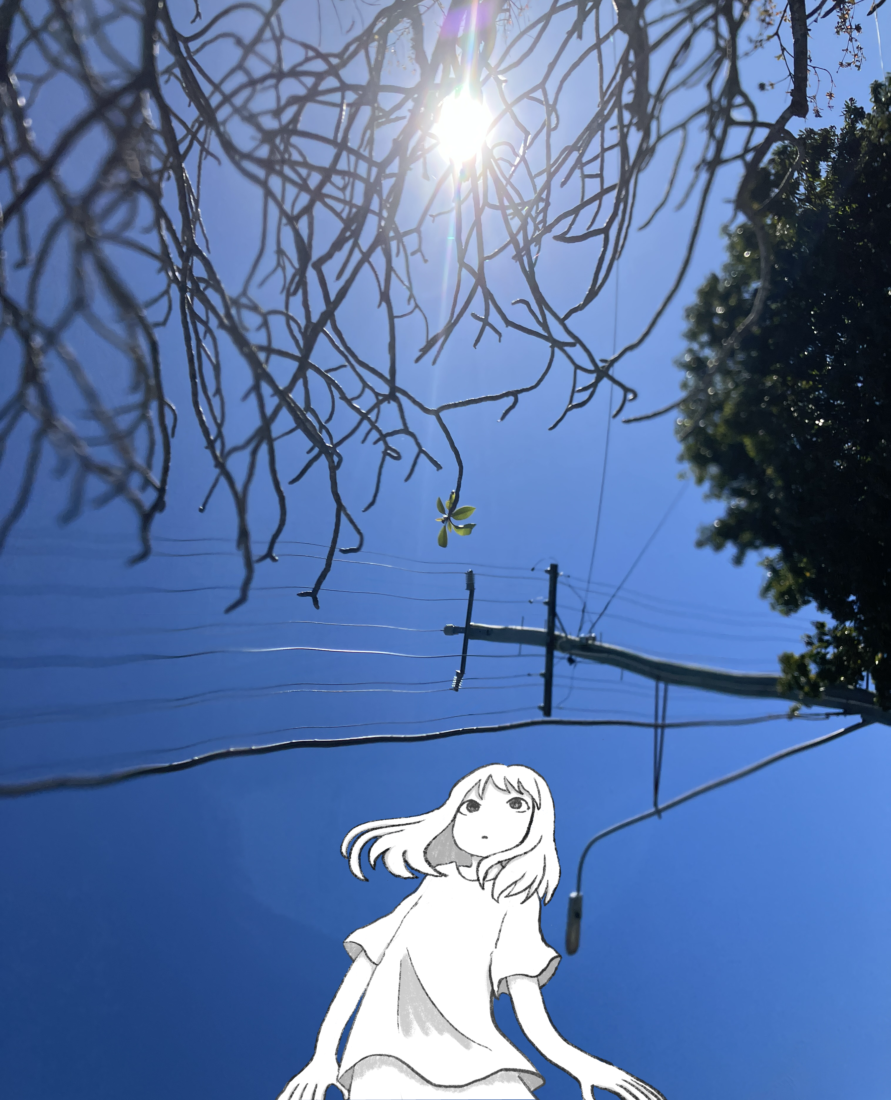 Wiggly