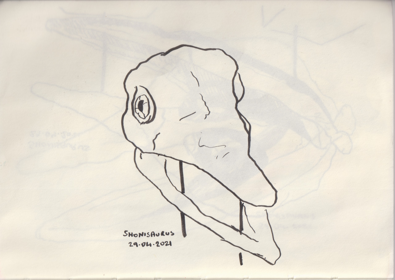 Shonisaurus